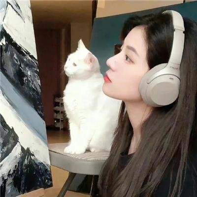 漂移的栅栏