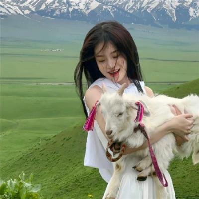 良宵花弄月